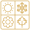 icons8 seasons 100