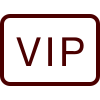 icons8 vip 100